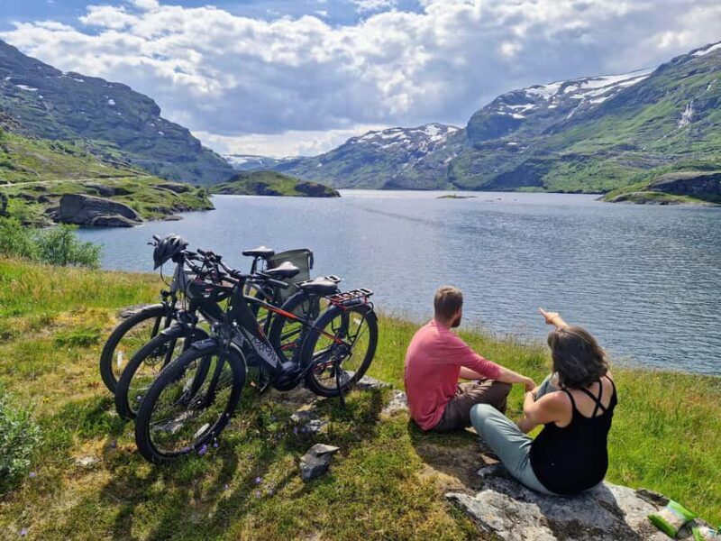 Guided, electric bicycle tour from Vatnahalsen (near Flam) - Who Is This Tour Best For?