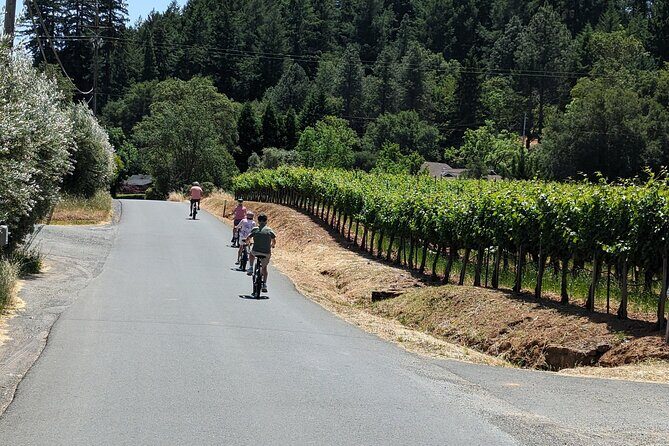 Guided Electric Bike Wine Tour Through Sonoma County - FAQ