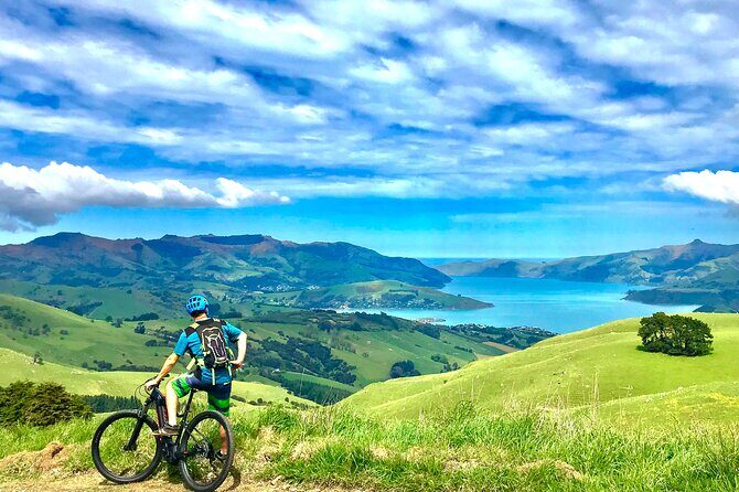 Guided Electric Mountain Bike Tour- Akaroa Explorer - Who Will Love This Tour?
