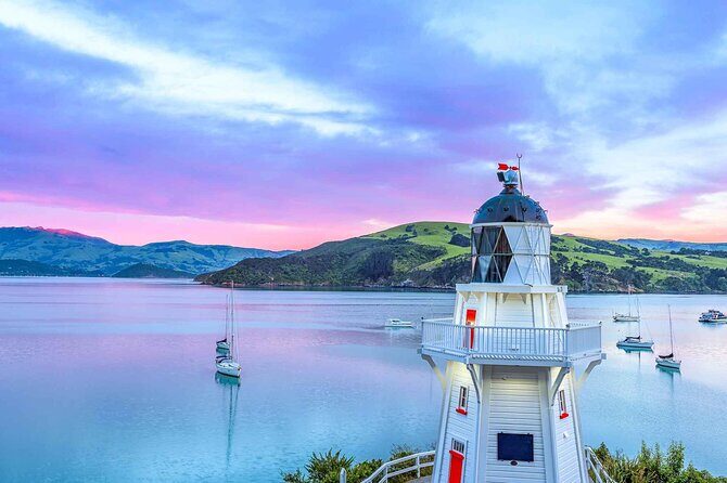 Guided Electric Mountain Bike Tour- Akaroa Explorer - Practical Details and Tips