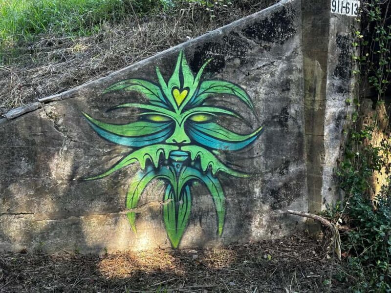 Guided Evening Glow Worm Experience - Byron Bay - A Closer Look at the Tour Experience