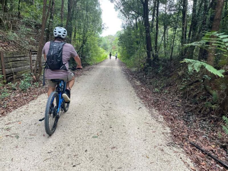 Guided Evening Glow Worm Experience - Byron Bay - Final Thoughts