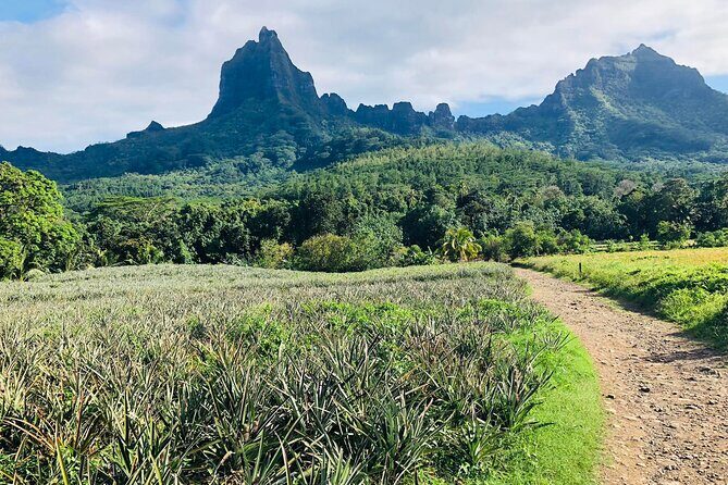 Guided Excursion in 4x4 in Moorea between Land and Sea - An In-Depth Look at the Tour Experience