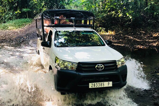 Guided Excursion in 4x4 in Moorea between Land and Sea - Frequently Asked Questions