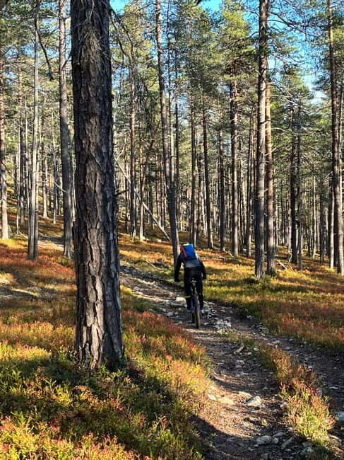 Guided Fatbike Tour in Ivalo - Key Points