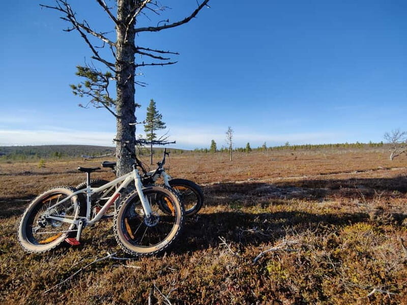 Guided Fatbike Tour in Ivalo - An Honest Look at the Fatbike Experience in Ivalo