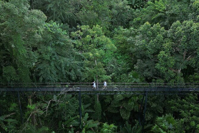 Guided FH1 Zipline Adventure at Hanuman World - The Sum Up