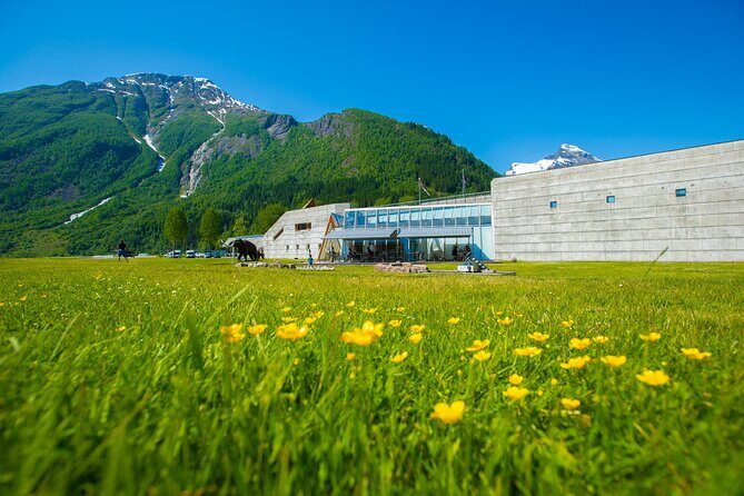 Guided Fjord & Glacier Tour - From BERGEN - Is It Worth the Price?