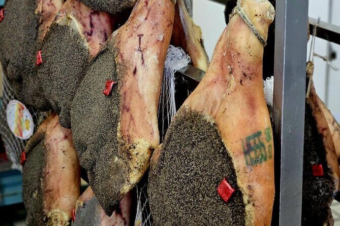 Guided Food Tour with Wine Tastings in Genoa - Final Thoughts