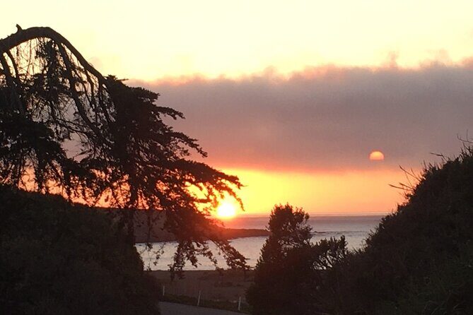 Guided full-day Big Sur hiking adventure with lunch - What Reviewers Say About the Experience