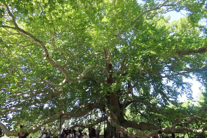 Guided Green Bursa Tour with Cable Car From Istanbul to Uludag - The Transportation and Group Size