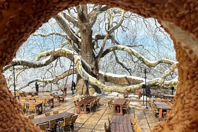 Guided Green Bursa Tour with Cable Car From Istanbul to Uludag - Who Might Want to Skip It?