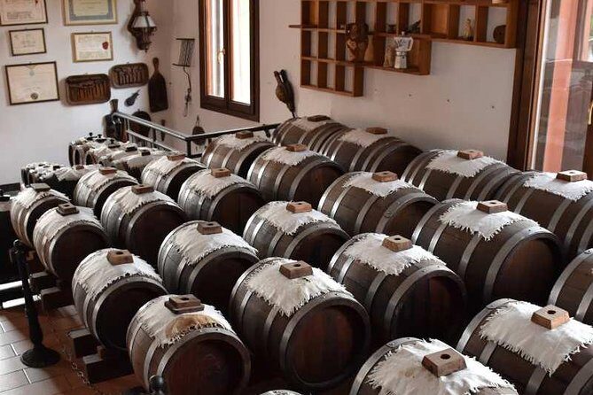 Guided group tour TastyBus: Parmesan Cheese and Parma Ham - What to Expect from the Parma Food Tour