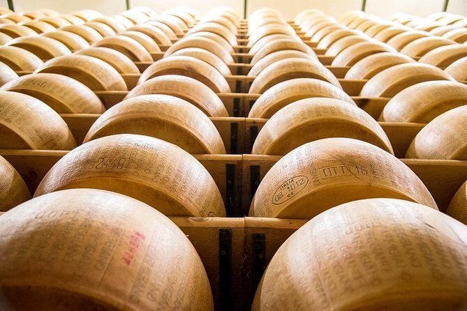 Guided group tour TastyBus: Parmesan Cheese and Parma Ham - Value and Practical Insights