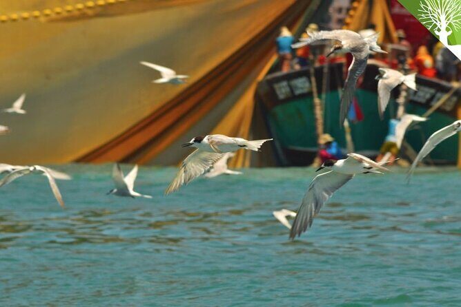 Guided Half Day Mangrove Safari Tour In Langkawi - Sharing Basis - Key Points