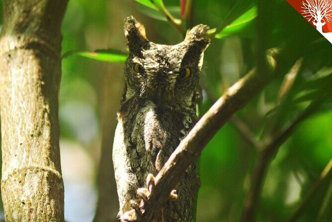Guided Half Day Mangrove Safari Tour In Langkawi - Sharing Basis - FAQ