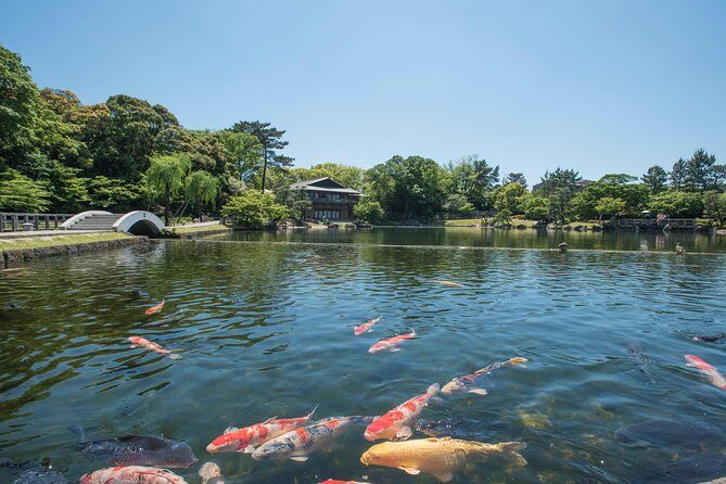 Guided Half-day Tour(AM) to Nagoya Castle & Tokugawa Museum and Garden - Summary