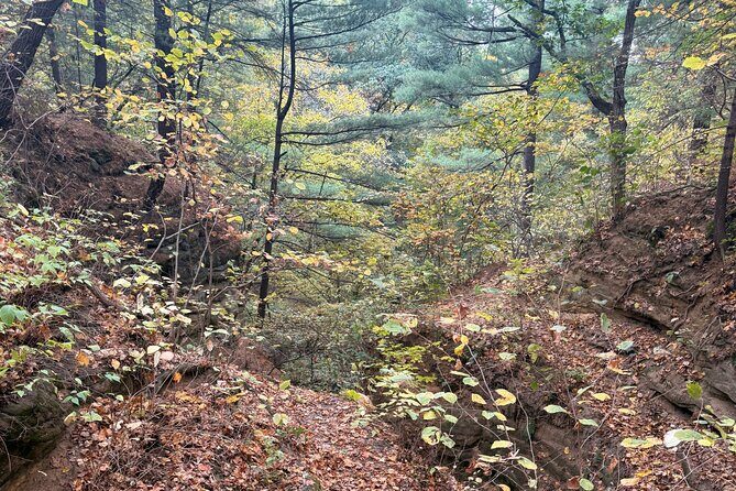 Guided Hike at Starved Rock and Matthiessen Park - Exploring Starved Rock State Park