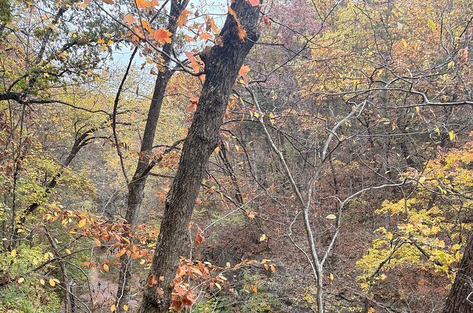 Guided Hike at Starved Rock and Matthiessen Park - Duration and Pace