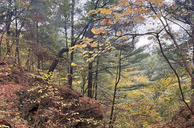 Guided Hike at Starved Rock and Matthiessen Park - Transportation and Comfort