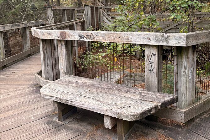 Guided Hike at Starved Rock and Matthiessen Park - Suitability and Accessibility