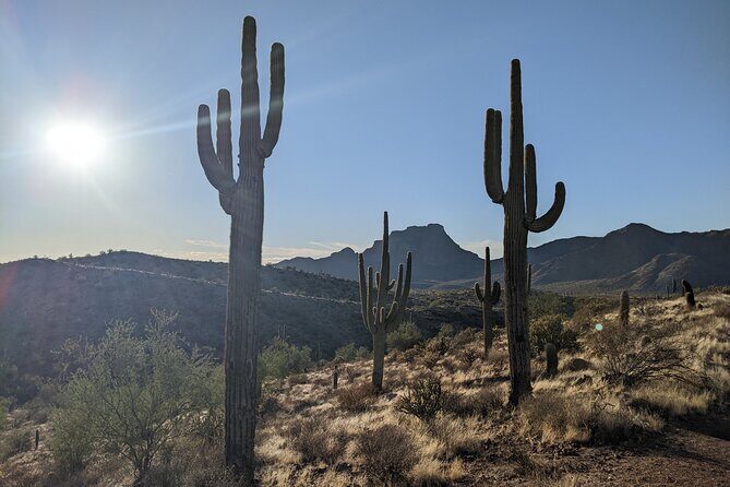 Guided Hike: Desert Copper Mile - Key Points