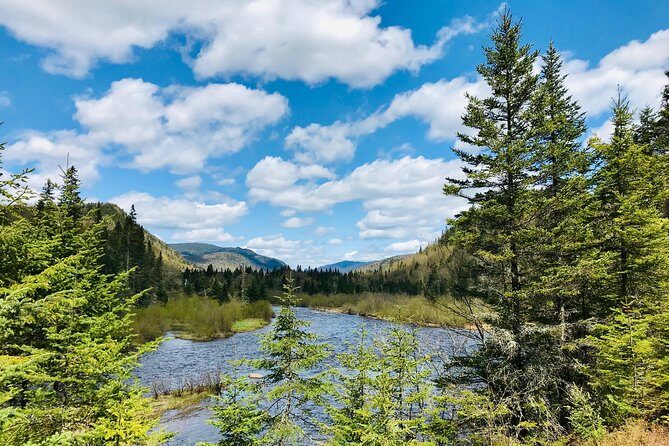 Guided Hike in Jacques-Cartier National Park - The Sum Up