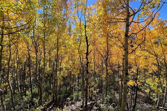Guided Hike in Rocky Mountain National Park - Authentic Encounters and Hidden Gems
