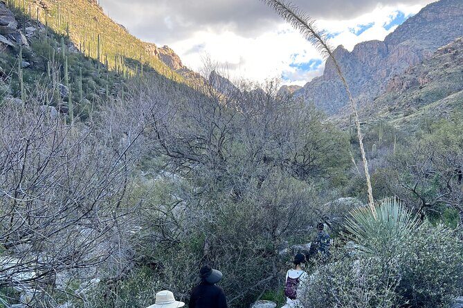 Guided Hike in the Sonoran Desert - Who Will Love This Tour?