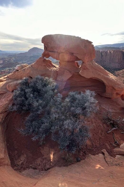 Guided hike to Meeks Mesa of Capitol Reef - Key Points