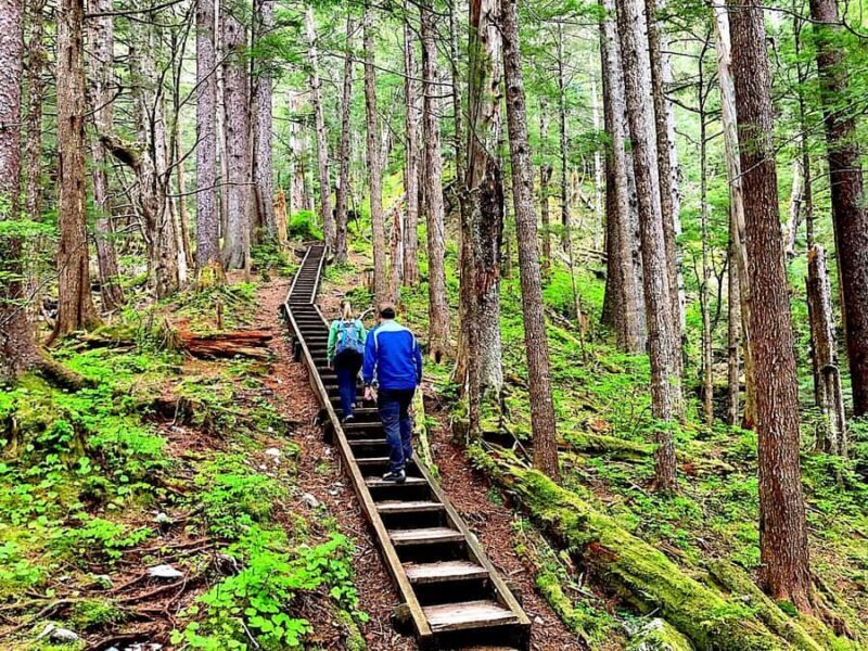 Guided Hike | TONGASS NATIONAL FOREST - What the Tour Includes