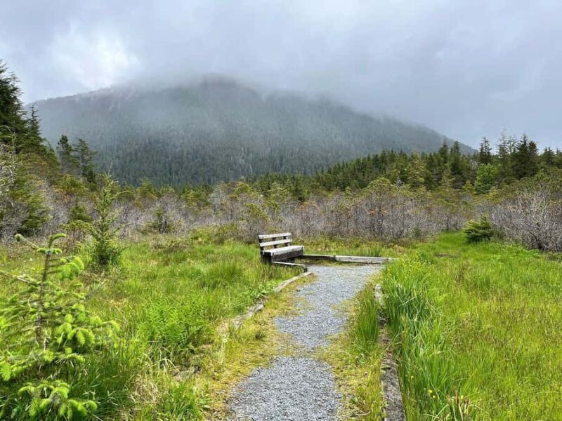 Guided Hike | TONGASS NATIONAL FOREST - The Duration and Logistics
