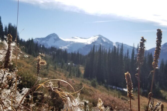 Guided Hiking and Camping Tour - FAQ