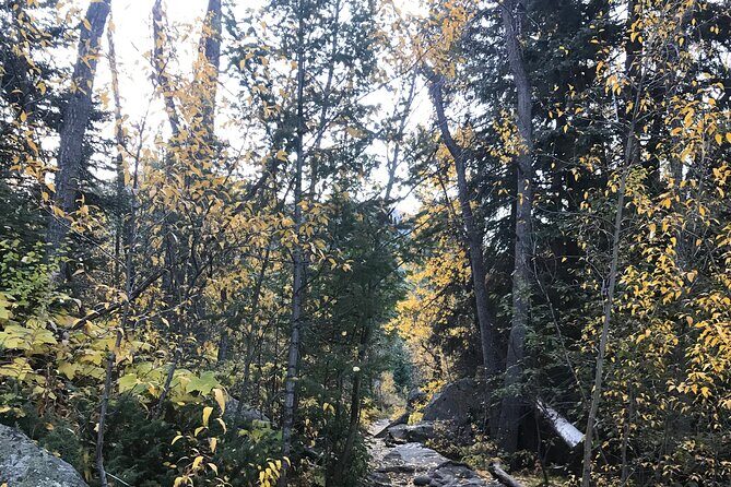 Guided Hiking Experience of Iconic Mirror Lake & Lone Eagle Peak - Who Would Love This Experience?