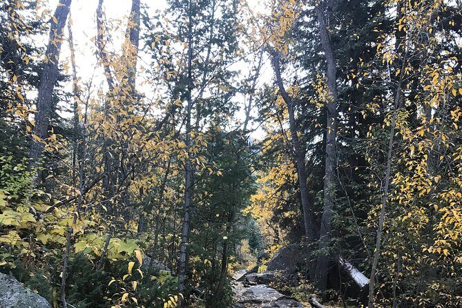 Guided Hiking Experience of Iconic Mirror Lake & Lone Eagle Peak - Final Thoughts