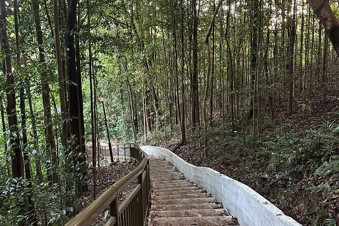 Guided Hiking Tour to Seah Im bunker, Mount Faber and Henderson - Final Stop: Refueling at VivoCity