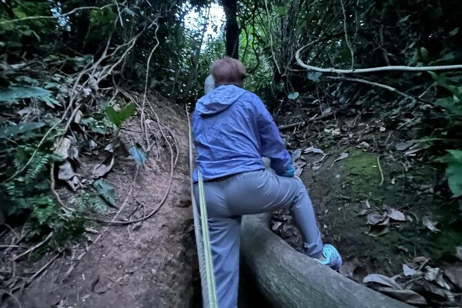 Guided Hiking Tour to Seah Im bunker, Mount Faber and Henderson - Who Would Love This Tour?