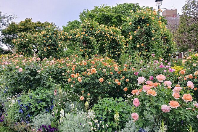 Guided History & Nature Exploration in the Yokohama Hill Area - Sankeien Gardens: A Peaceful Dive into Japanese Garden Design