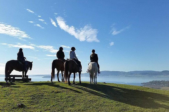 Guided Horse Trekking from Rotorua - To sum it up