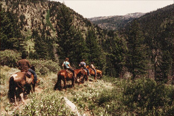 Guided Horseback Trail Rides - Analyzing the Value