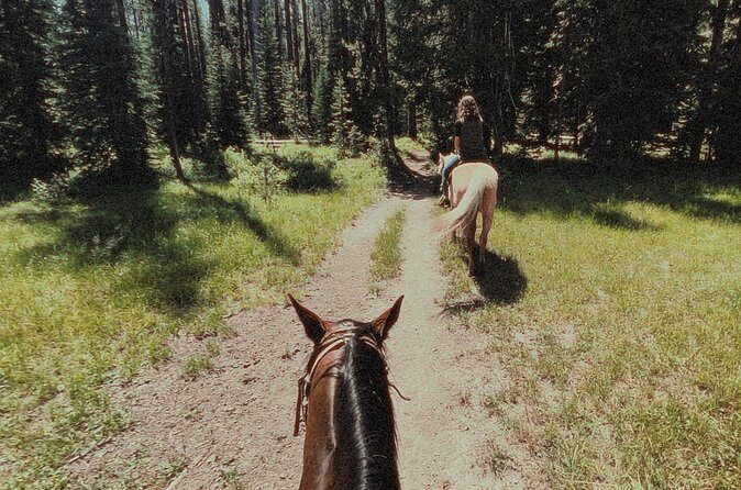 Guided Horseback Trail Rides - Practical Tips for Your Ride