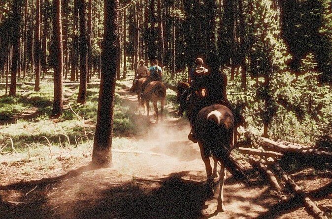 Guided Horseback Trail Rides - Who Will Love This Ride?