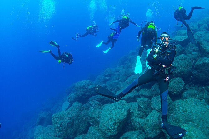 Guided Immersion from Santa Cruz de Tenerife - Why This Tour Excels for Travelers