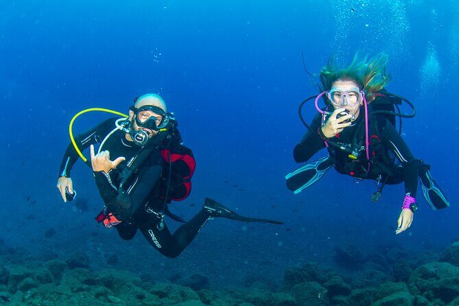 Guided Immersion from Santa Cruz de Tenerife - Who Should Book This Tour?