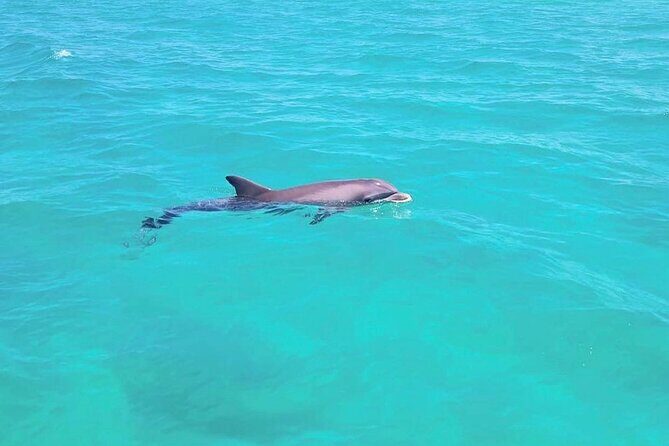 Guided Jet Ski Adventure Tour - The Value of This Adventure