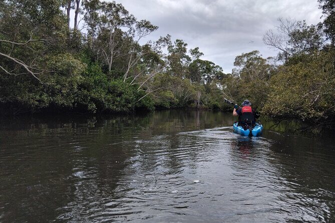 Guided Kayak Adventure Tour - The Experience: What It Feels Like