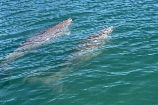 Guided Kayak Adventure Tour - Who Will Enjoy This Tour?