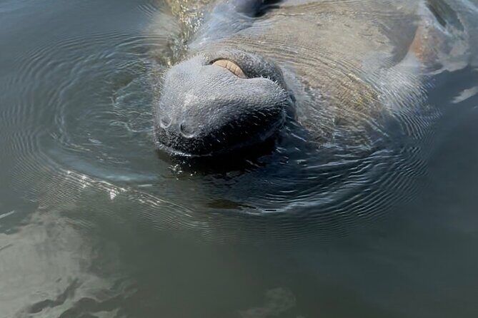 Guided Kayak Experience at EG Simmons Park - An In-Depth Look at the Guided Kayak Tour
