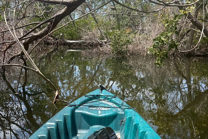 Guided Kayak Experience at EG Simmons Park - Final The Sum Up