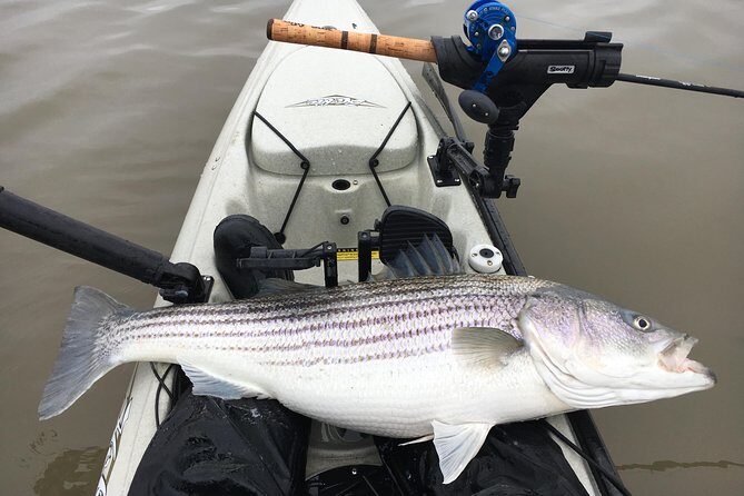 Guided Kayak Fishing Tour - Key Points